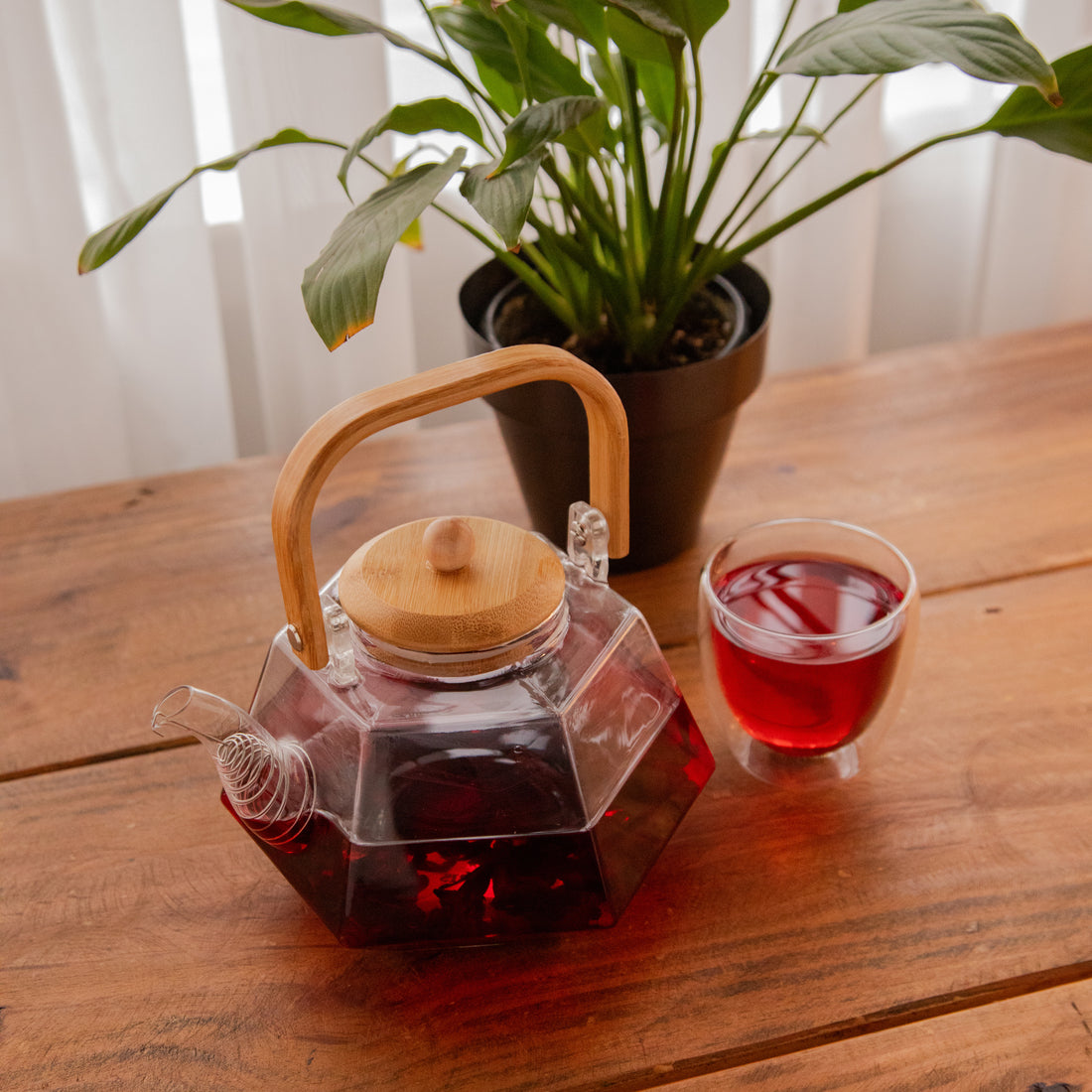 Octavius Facet Brew Borosilicate Glass Kettle – 1500 ml