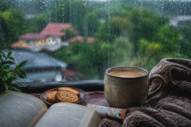 Monsoon Chai Cravings: Best Instant Premix for Rainy Days