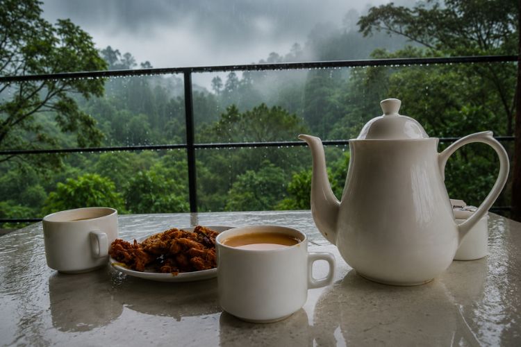 Monsoon Tea Collection – The Perfect Cup for Rainy Days
