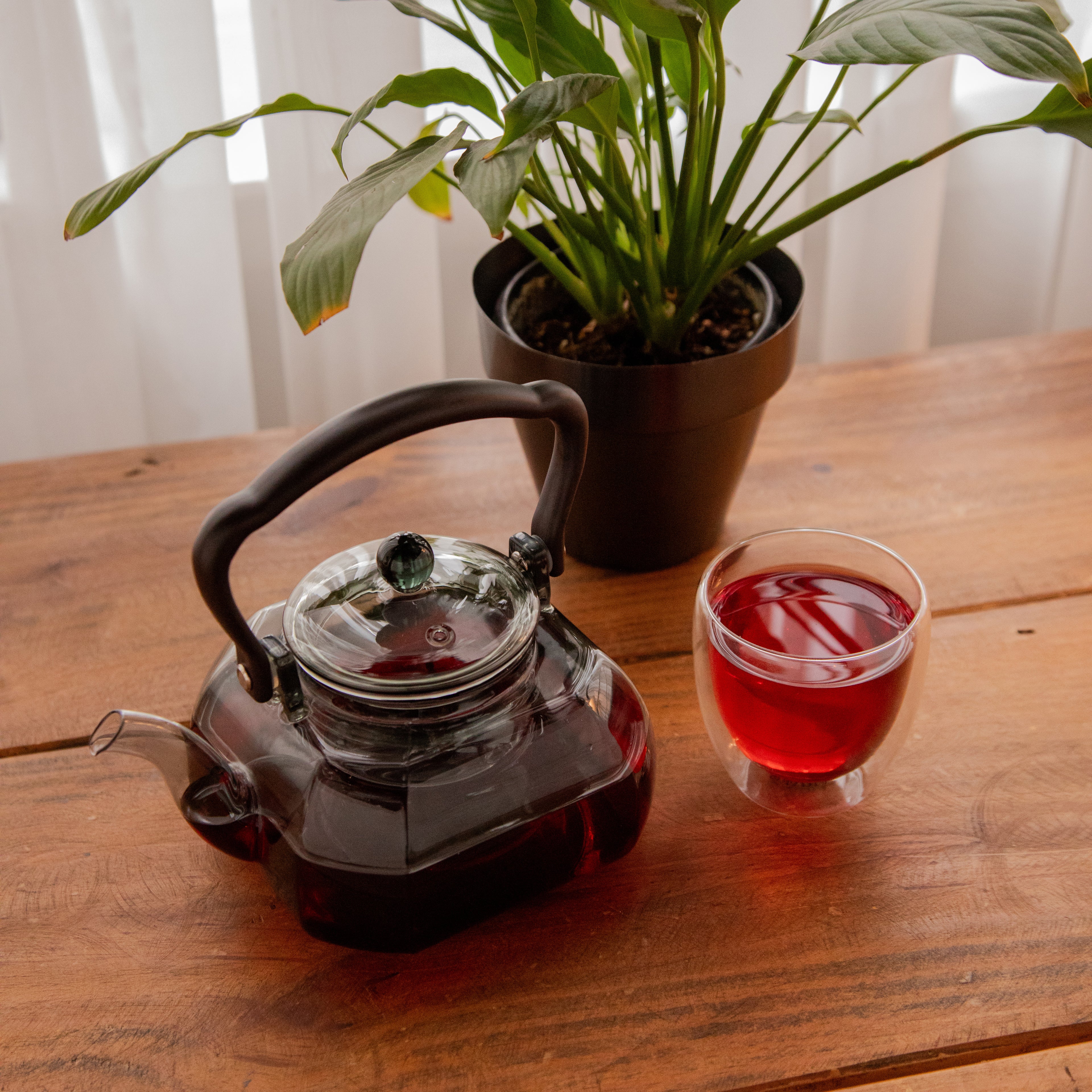 Octavius DuskGlow Borosilicate Glass Kettle – 1100 ml