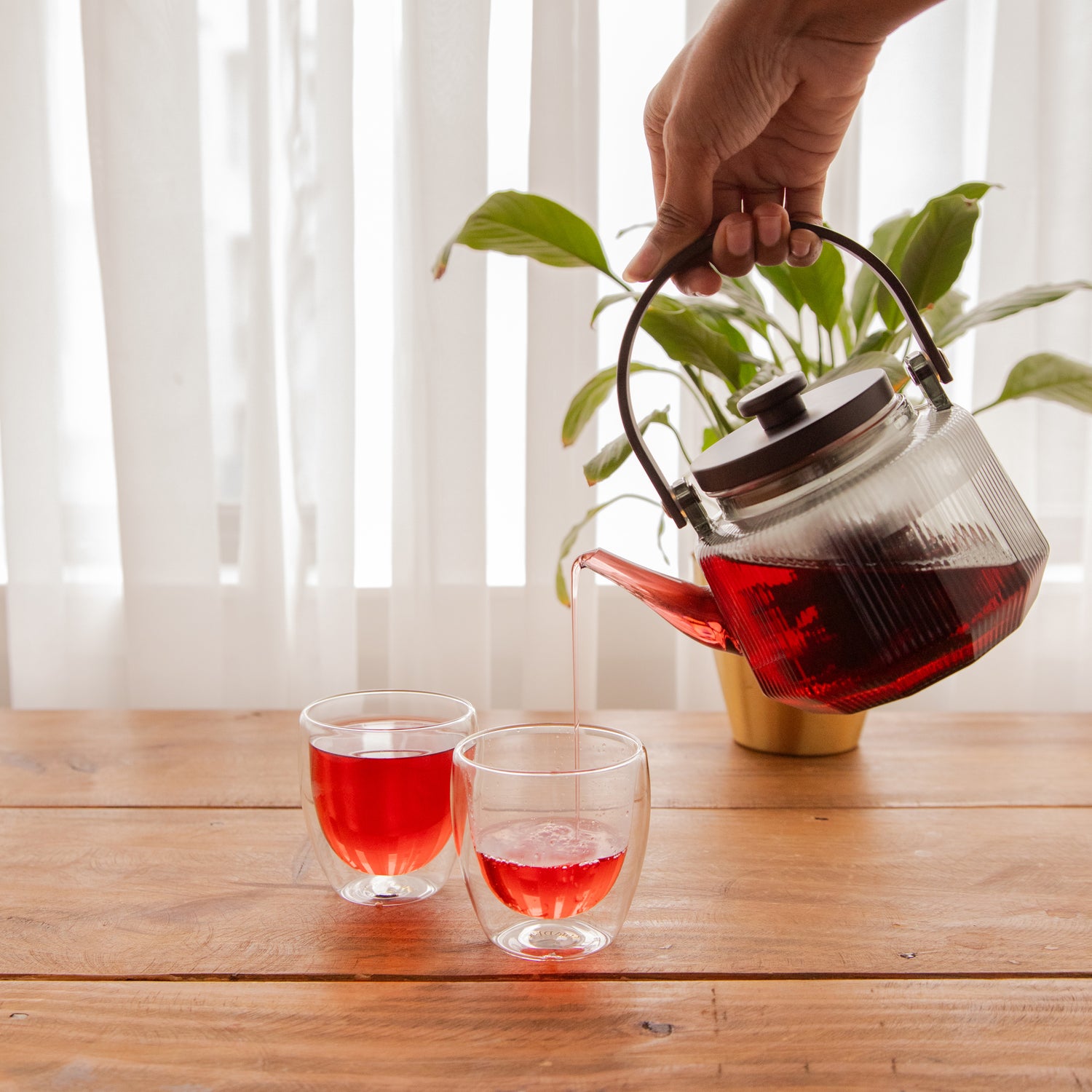 Octavius Prism Brew Borosilicate Glass Kettle – 600 ml