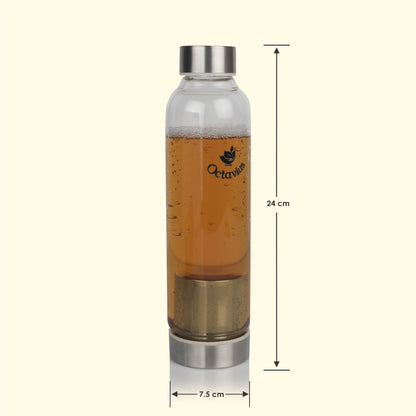 Borosilicate Glass Bottle With Infuser - 520ML