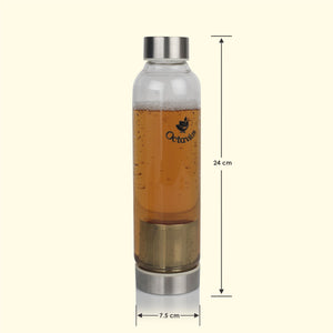 
                  
                    Load image into Gallery viewer, Borosilicate Glass Bottle With Infuser - 520ML
                  
                