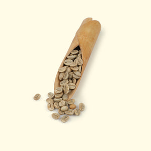 
                  
                    Load image into Gallery viewer, Classic Green Coffee Beans in Kraft Box - 250 gms
                  
                